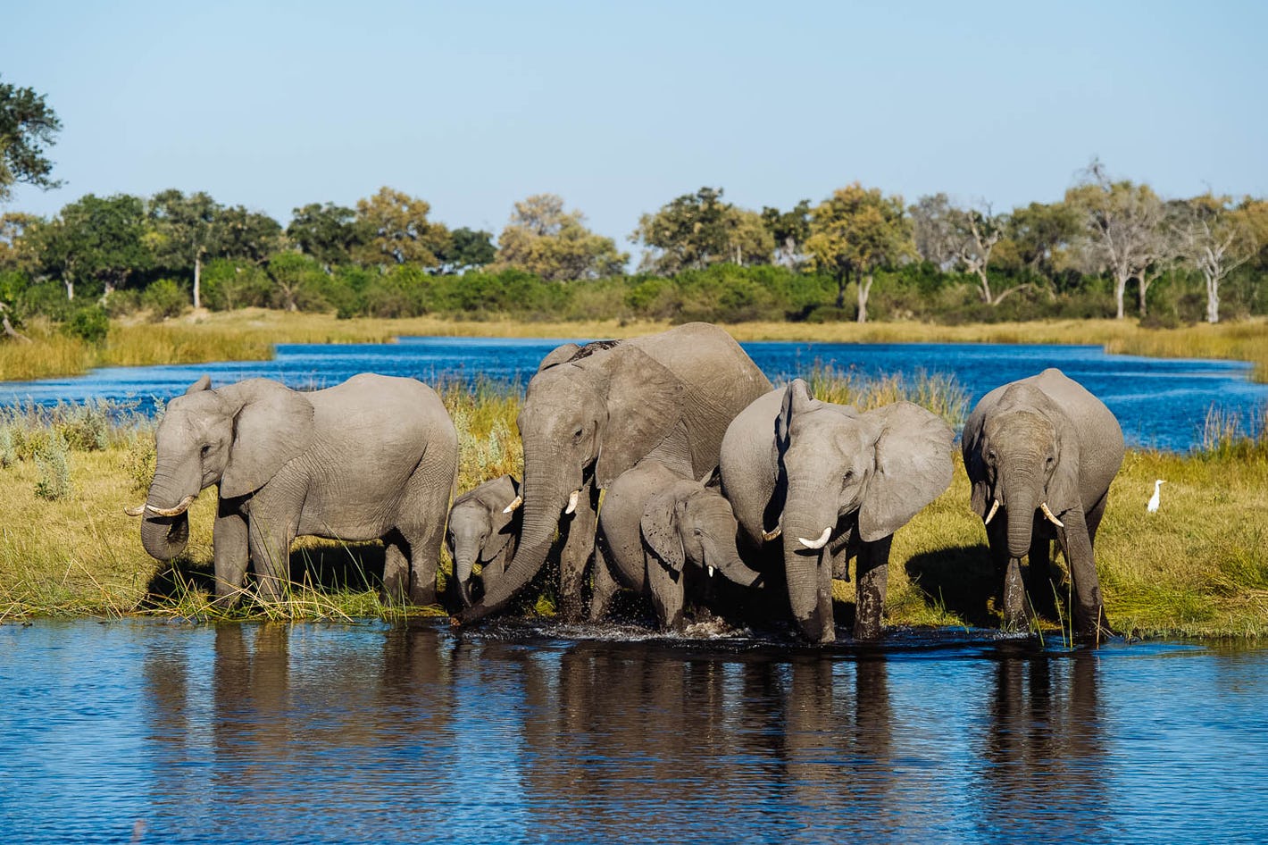 Chobe, Botswana
