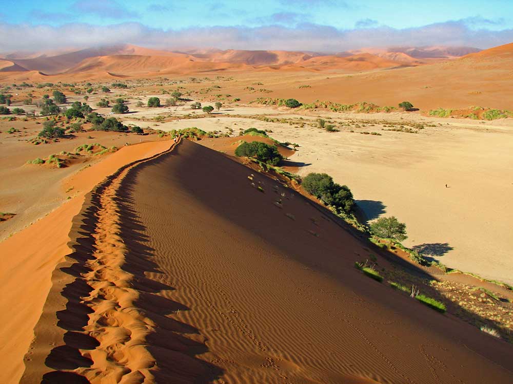 Best time to go to The Serengeti