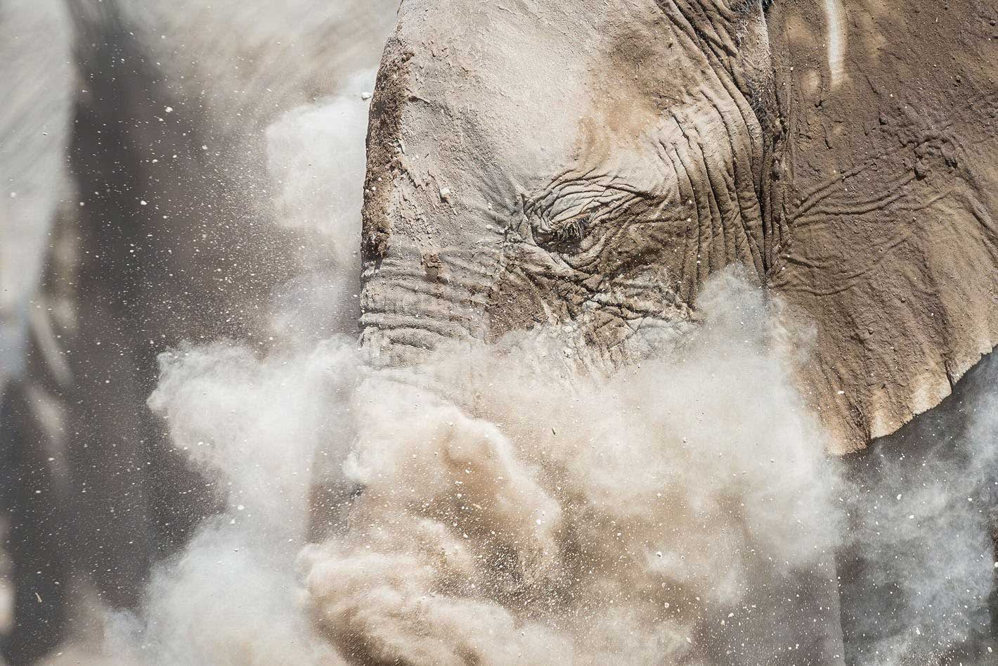 Beste Zeit, um nach Etosha Nationalpark zu gehen