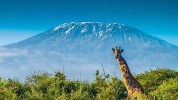 Tanzania Tanzania