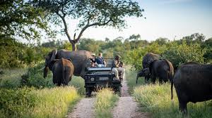 The Kruger & Blyde River Canyon itinerary (4 nights)