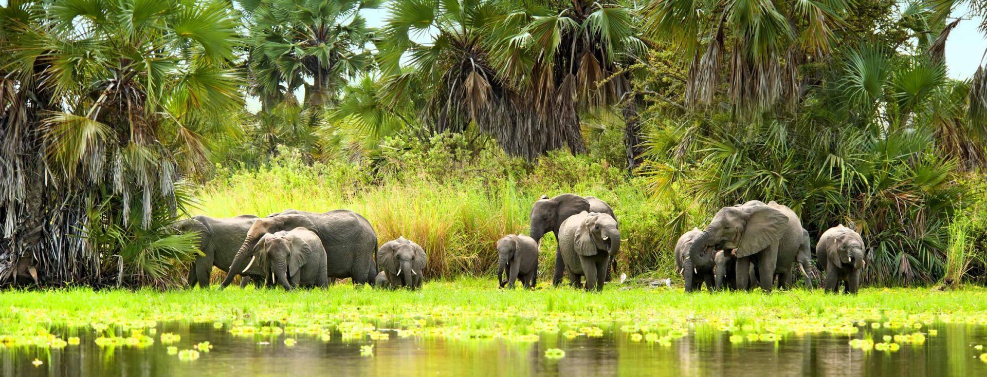 Chobe, Botswana