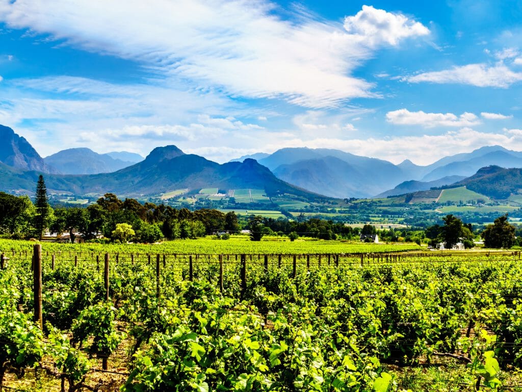 Cape Winelands