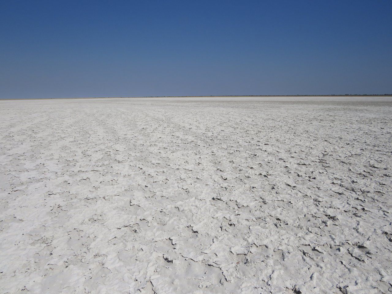 Meilleur moment pour partir aux Makgadikgadi Pans
