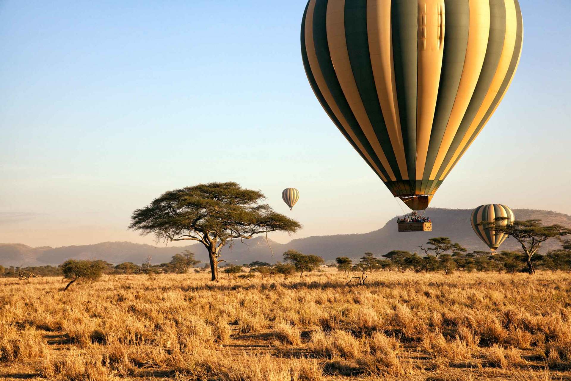 Sérengeti, La Tanzanie