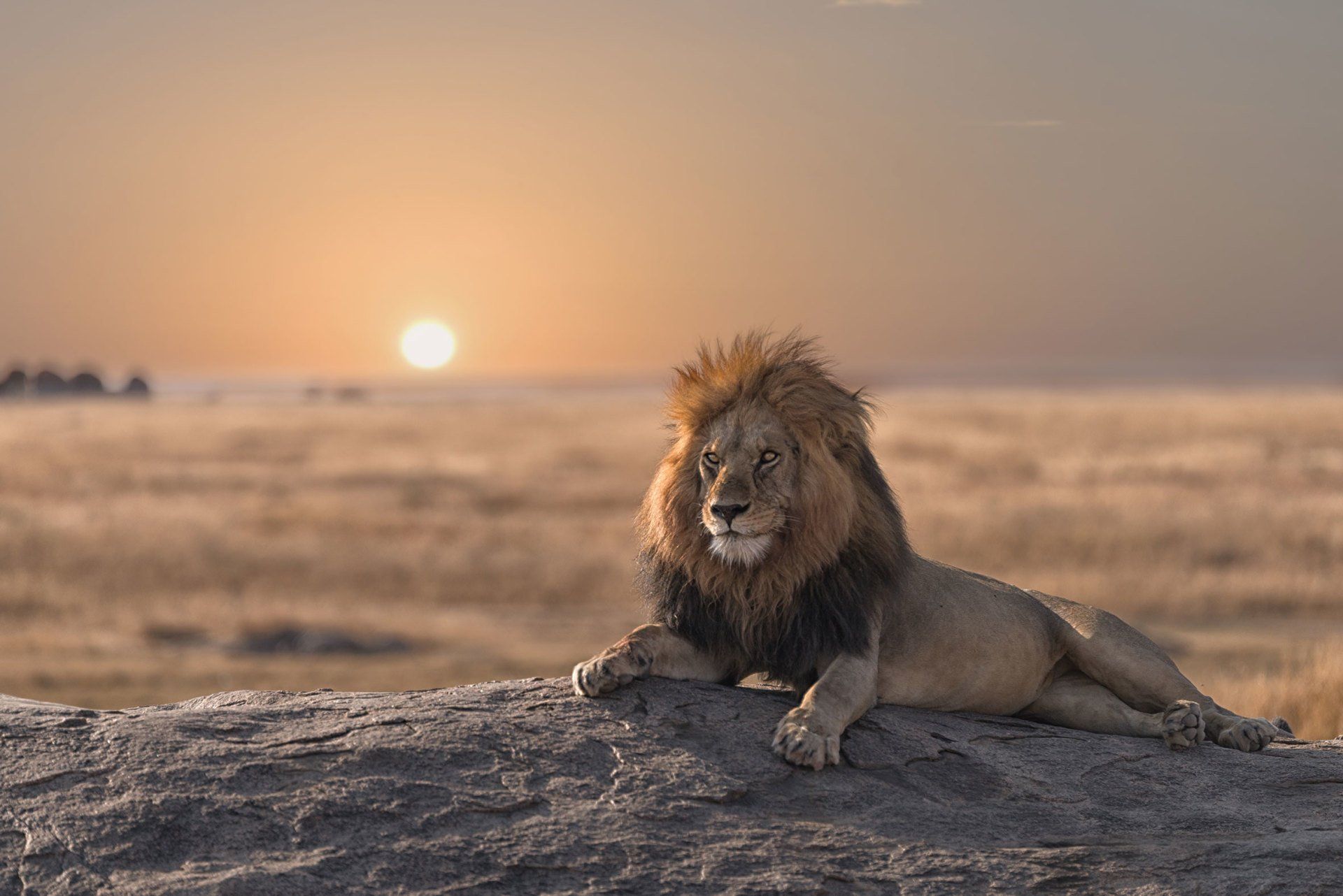 Parc national de Chobe, Botswana