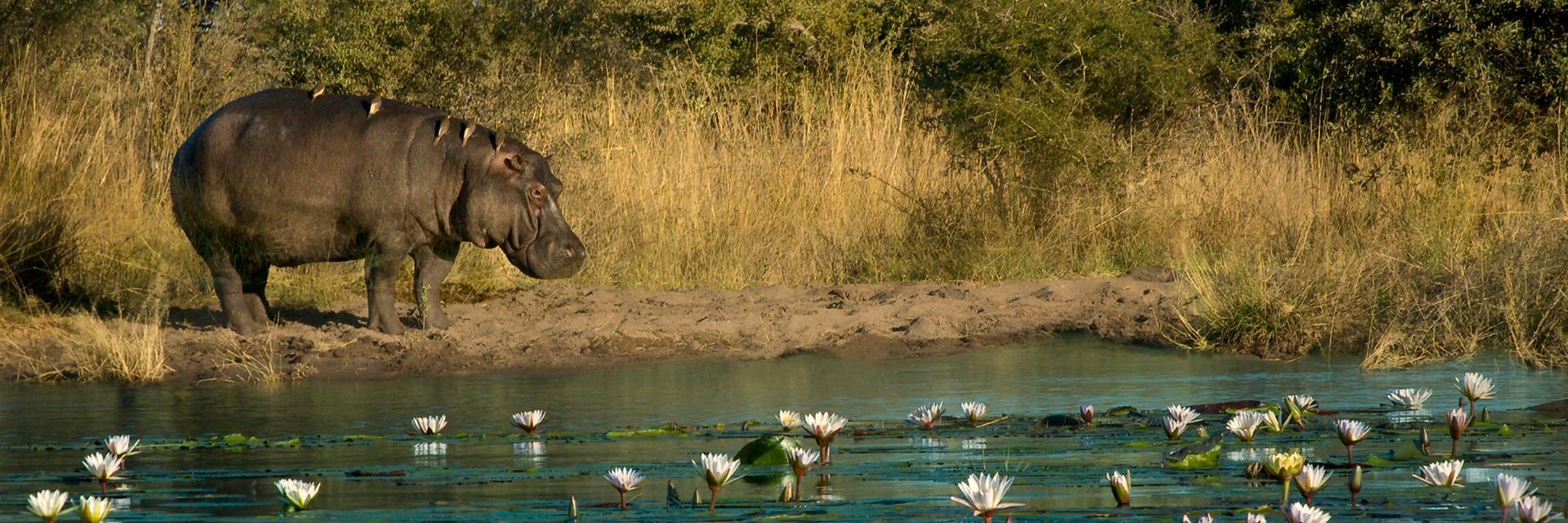 Beste Zeit, um nach Caprivi Strip zu gehen