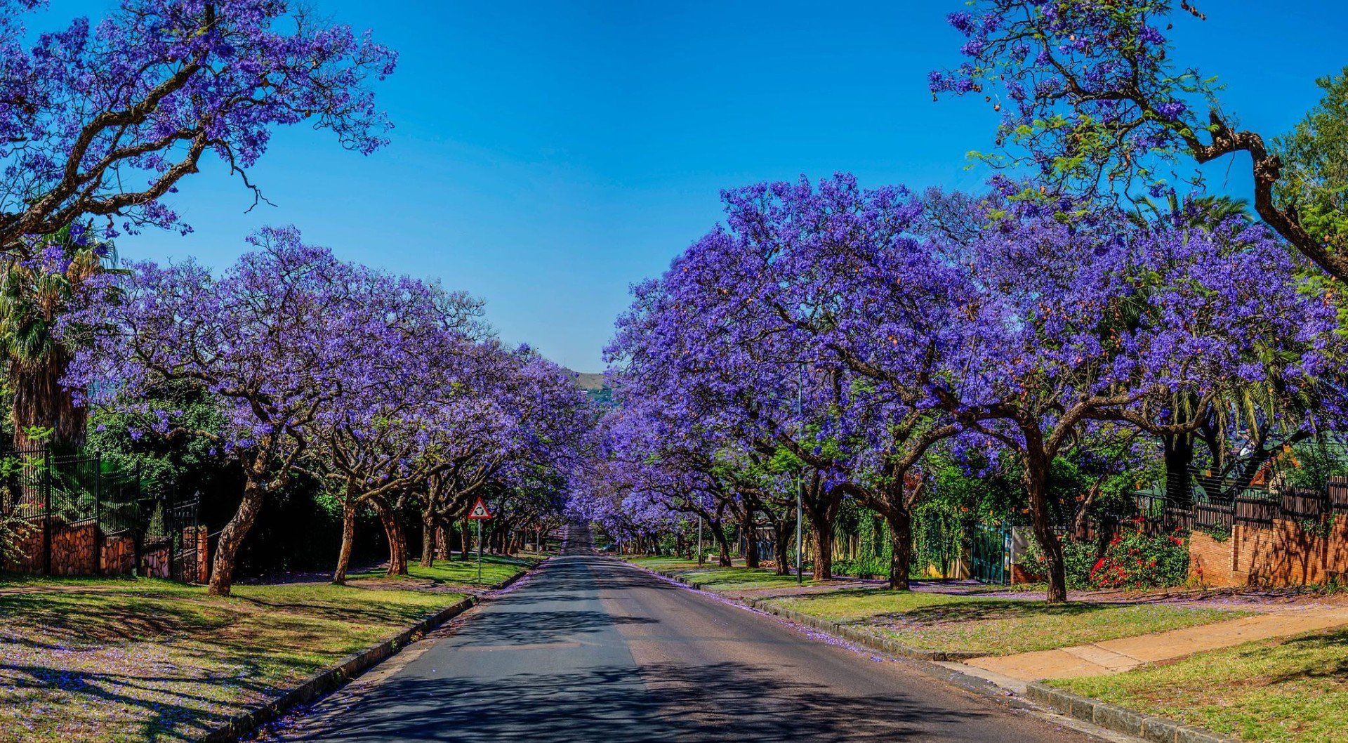 Best time to go to Johannesburg & Pretoria