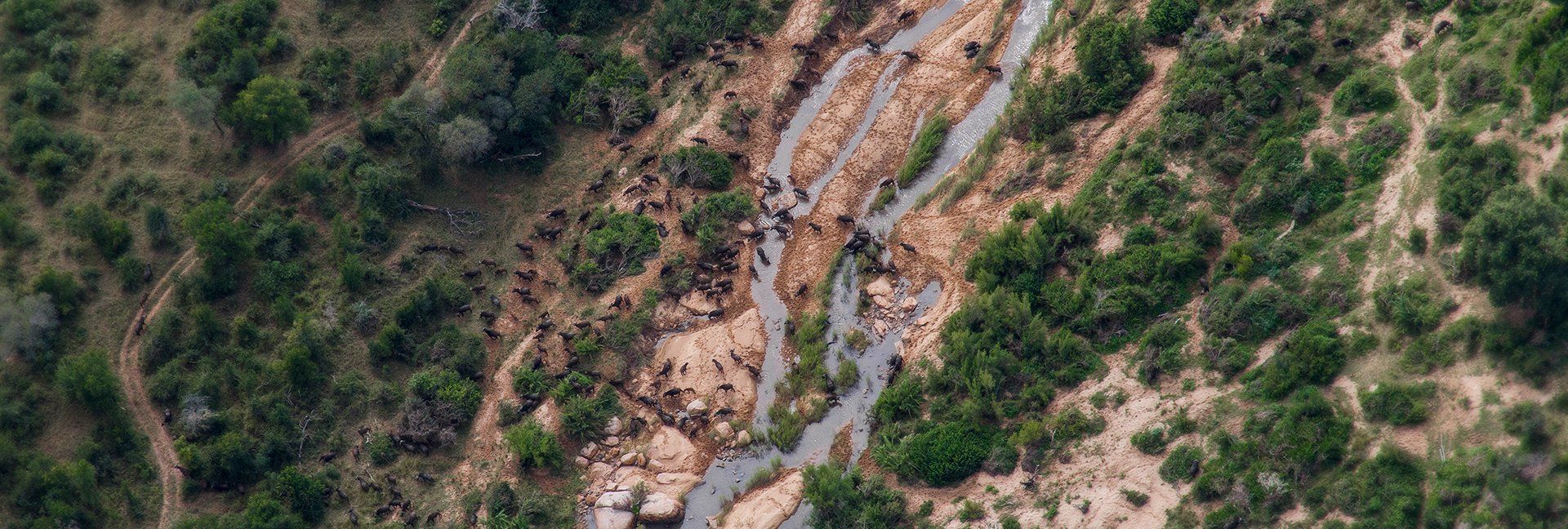 Fly Above The Kruger