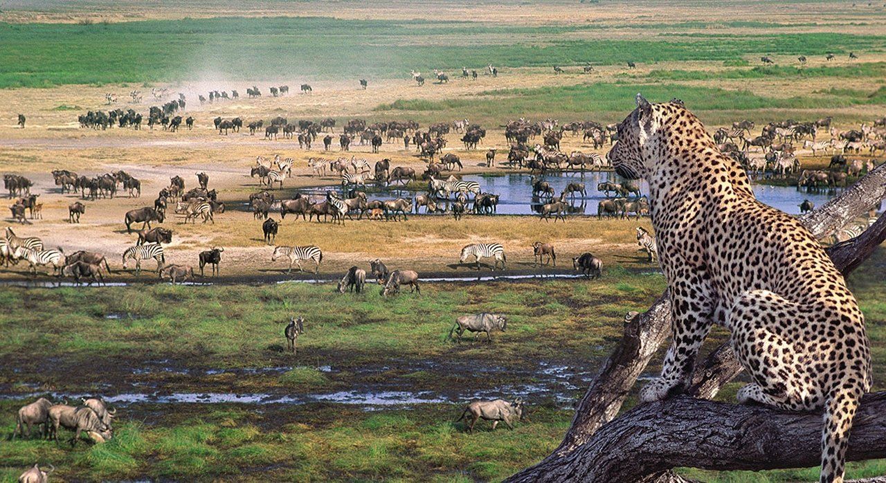 Tanzania & Zanzibar