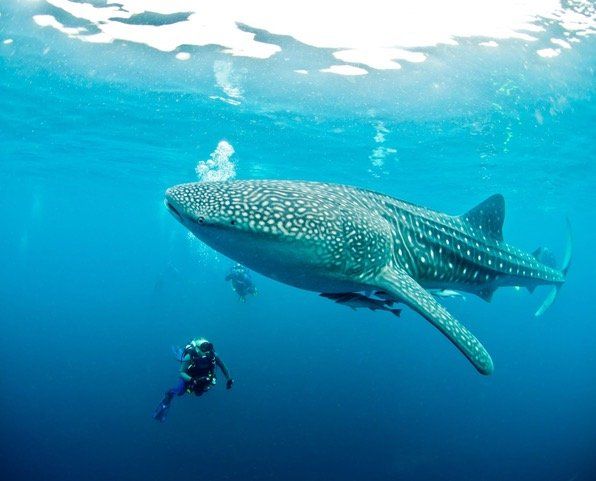 Mozambique