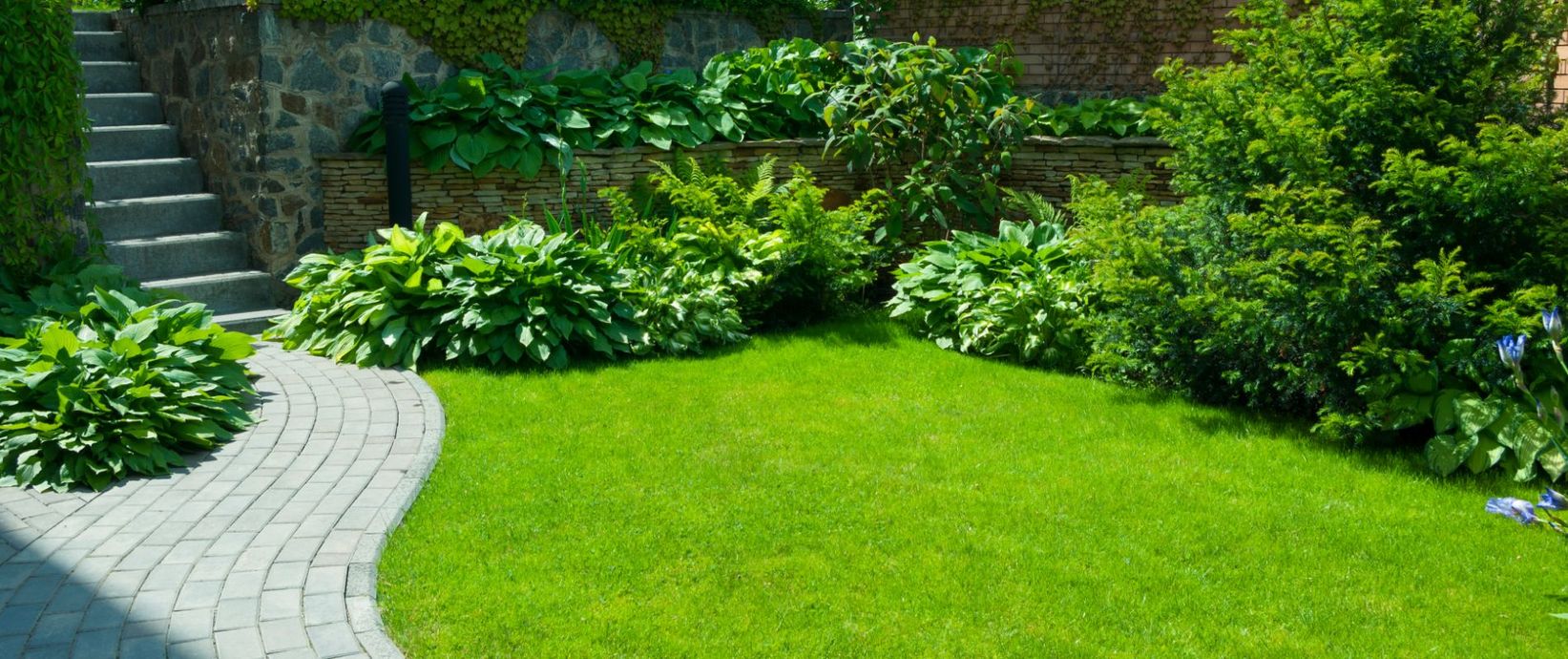 Gazon vert dans le jardin d'une maison