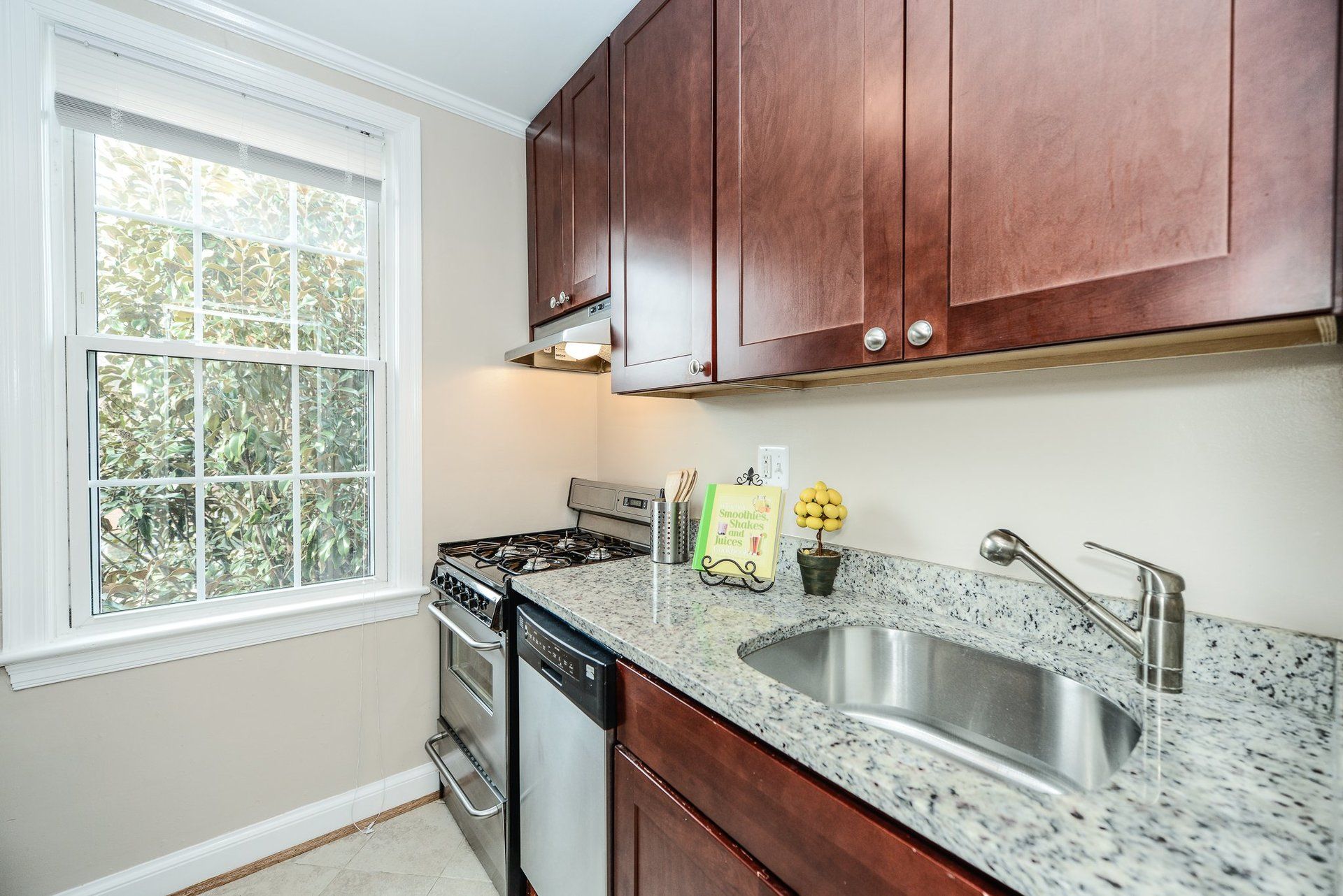 Modern Kitchen Appliances with Gas Cooking