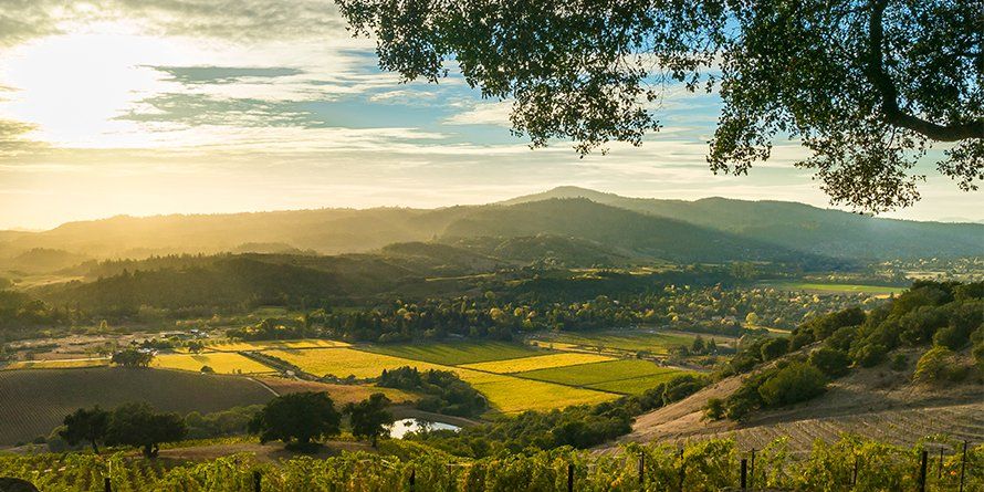 Landscape Image