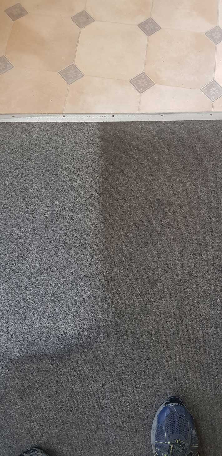 Inspection of carpet — Carpet Cleaning in Wollongong, NSW