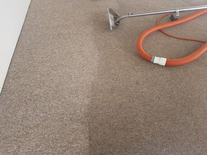 Carpet being vacuumed — Carpet Cleaning in Wollongong, NSW