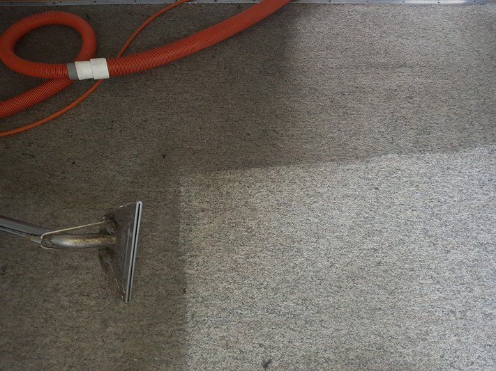 Carpet while being vacuumed — Carpet Cleaning in Wollongong, NSW