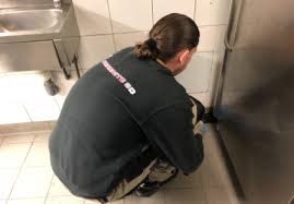 Fabrice le chasseur de rats