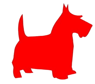 red scotty