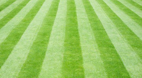 striped pattern turfing