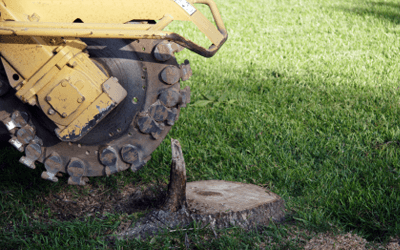 tree services