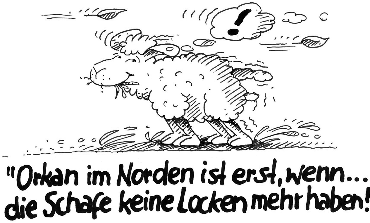 Cartoon von Barbara Hömberg. Es zeigt ein Schaf om Sturm. Darunter der Text: