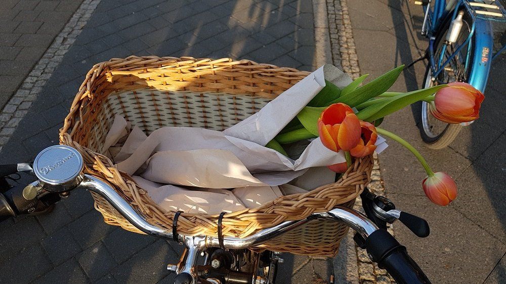 Foto von dem Korb am Lenker voll mit orangen Tulpen.