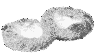Symbolfoto eines Puddingbrötchens
