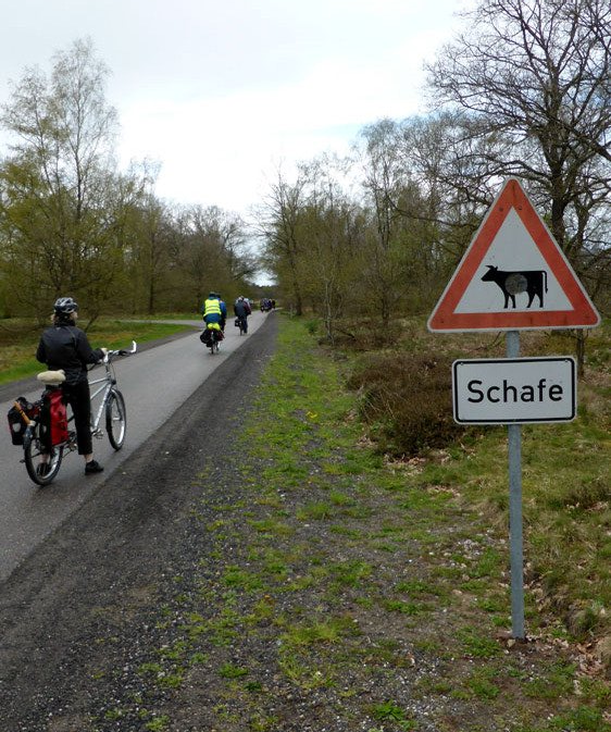 Foto von einer Straße. Auf der Straße fahrt Tandemclub Weisse Speiche Hamburg e.V. Daneben ein dreieckiges Warnschild mit einer Kuh drauf. Darunter das Zusatzschild