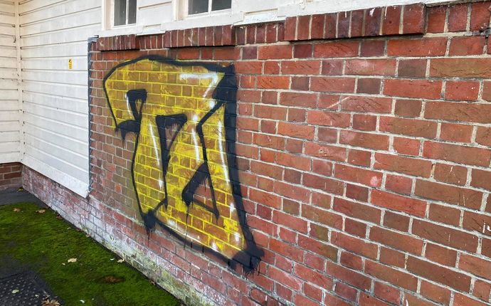 Graffiti removal image