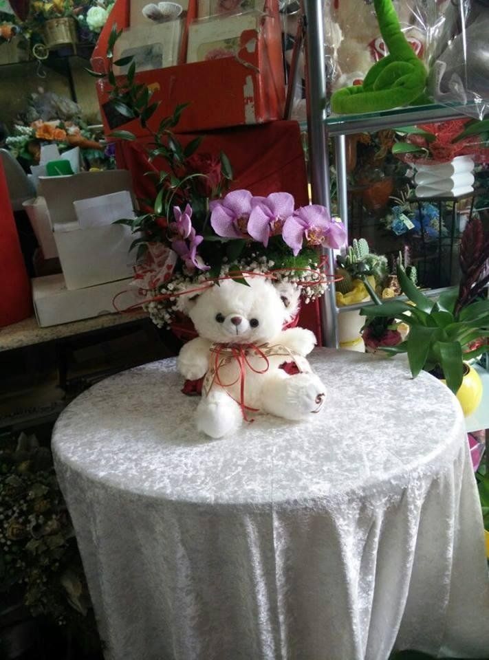 fiori e piante