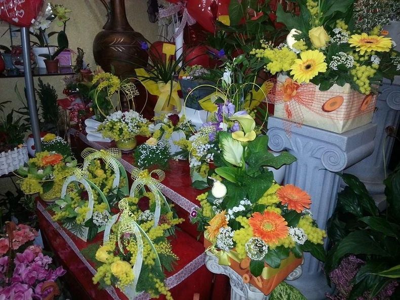 fiori e piante