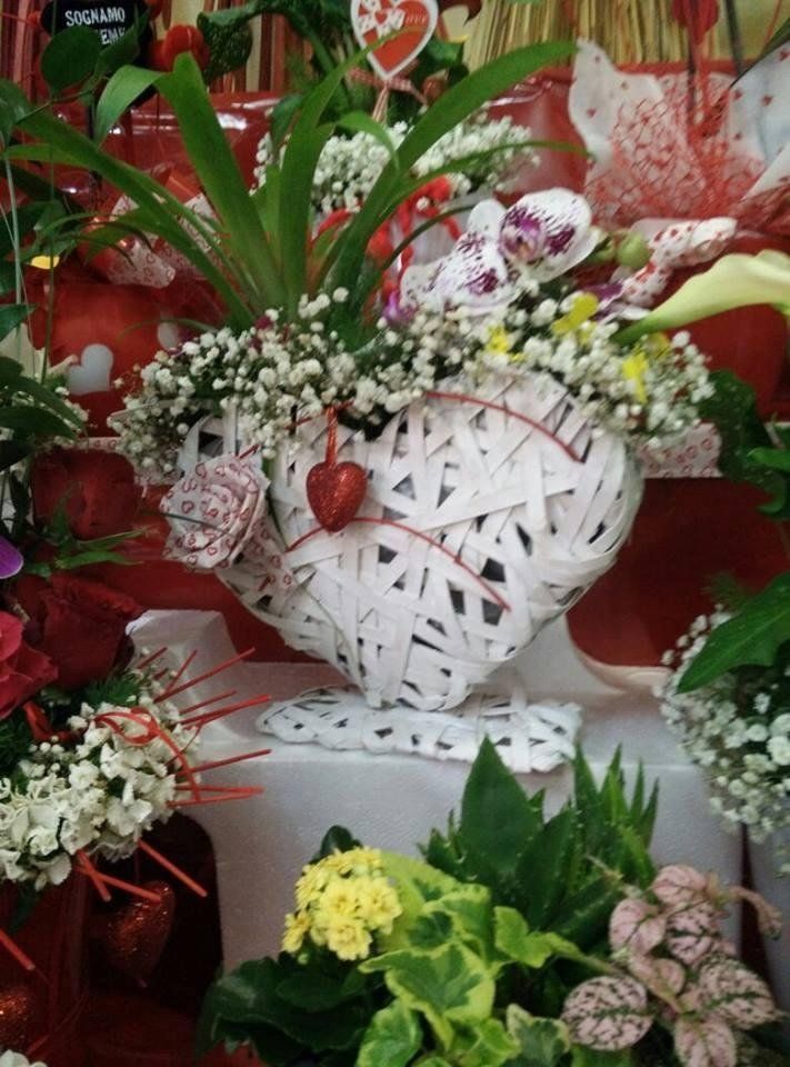 fiori e piante