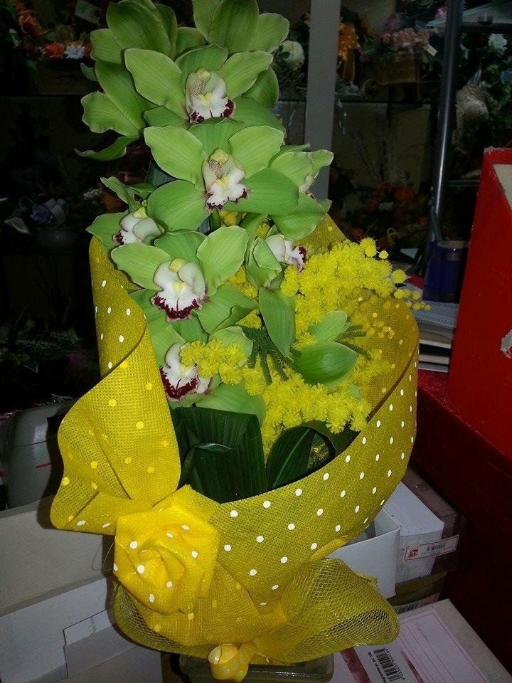 fiori e piante