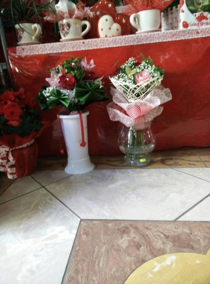 fiori e piante