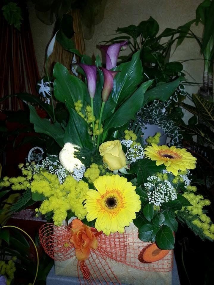 fiori e piante