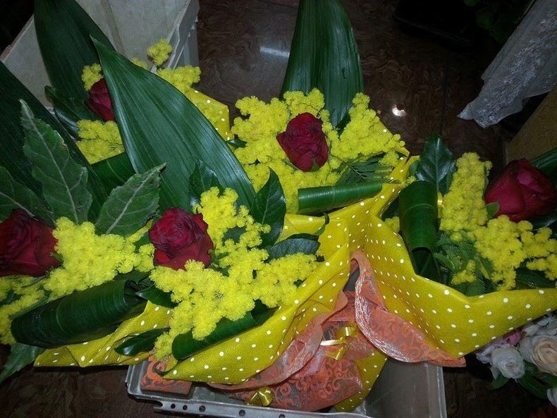 fiori e piante