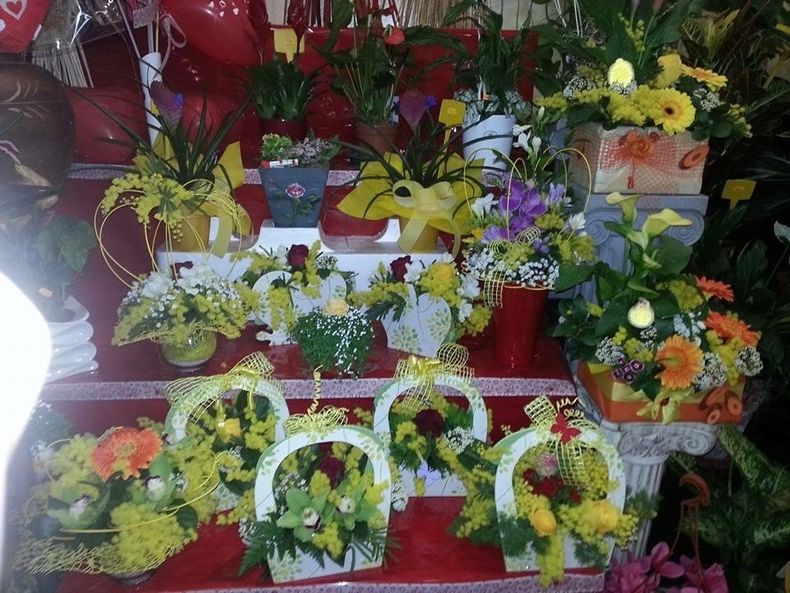 fiori e piante