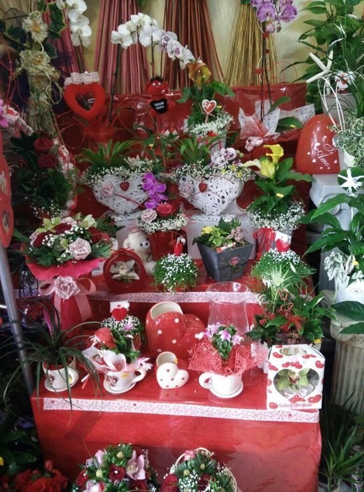 fiori e piante