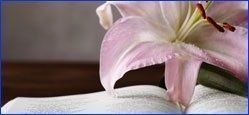 camere ardenti