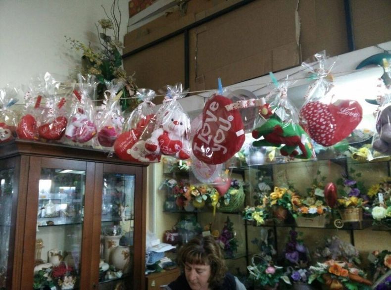 fiori e piante