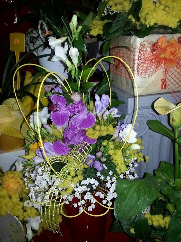 fiori e piante