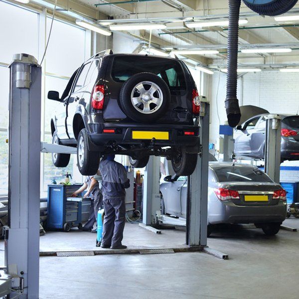 MOT preparation