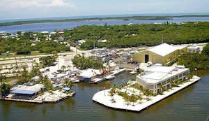 Marina Club at Blackwater Sound - Key Largo, FL