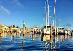 Nettles Island Marina - Jensen Beach, FL