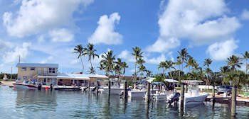 Sea Bird Marina - Layton, FL