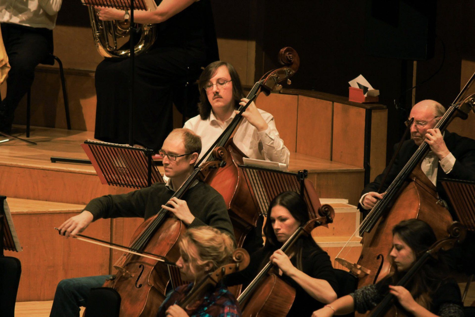Cellos and double bass player