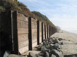 Wooden seawall along a beach, protecting a hillside from erosion.