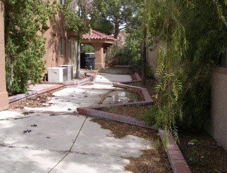 Backyard pathway with concrete, brick borders, and lush greenery, near a house with an air conditioning unit.