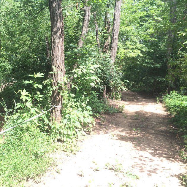 ATV Riding Park Trails